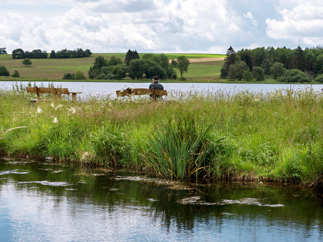 Am Vogelsberger Ober-Mooser See führt der Wanderweg Drei-Seen-Tour Freiensteinau vorbei. Neben der abwechslungsreichen Landschaft von Hügeln und Tälern, die durch Seen, Felder, Wiesen und Wälder gepärgt ist, ist besonders das Vogelschutzgebiet erwähnenswert. Denn an der Freiensteinauer Seenplatte haben zahlreiche heimische Vögel ihren Lebensraum und insbesondere rund um den Ober-Mooser See, aber auch am Rohtenbachteich machen viele Zugvögel alljährlich Rast auf ihrem Weg von oder nach Süden.