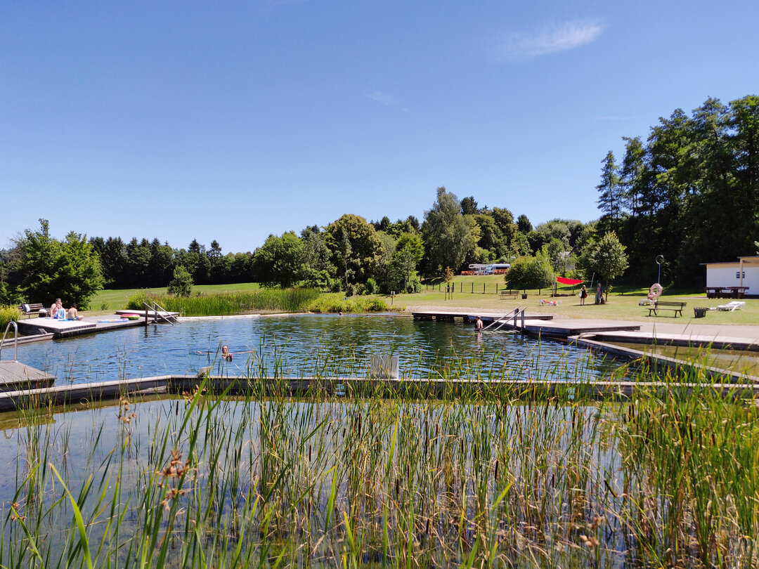 Das Badebiotop in Ulrichstein im Vogelsberg ist Deutschlands erstes Naturbadebiotop. In herrlicher Landschaft kann man naturnah baden und nebenan ist gleich ein Wohnmobilstellplatz.