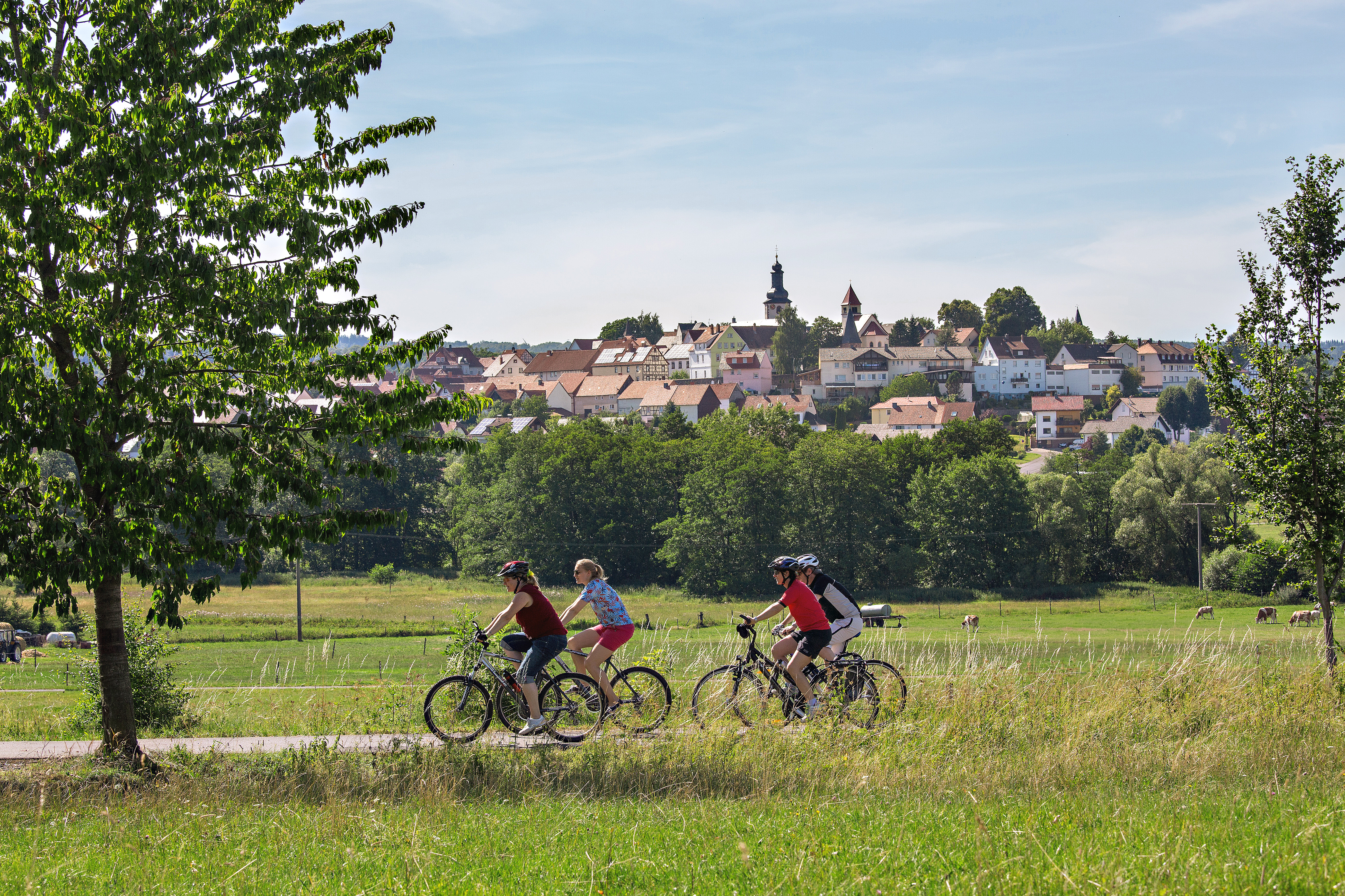 Vier Radfahrer fahren auf dem Vulkanradweg vorbei an Wiesen und einer Weide mit Kühen. Im Hintergrund thront die Stadt Herbstein auf einem ehemaligen Vulkanschlot erhaben über der Landschaft. Es ist Sommer und die Sonne scheint.